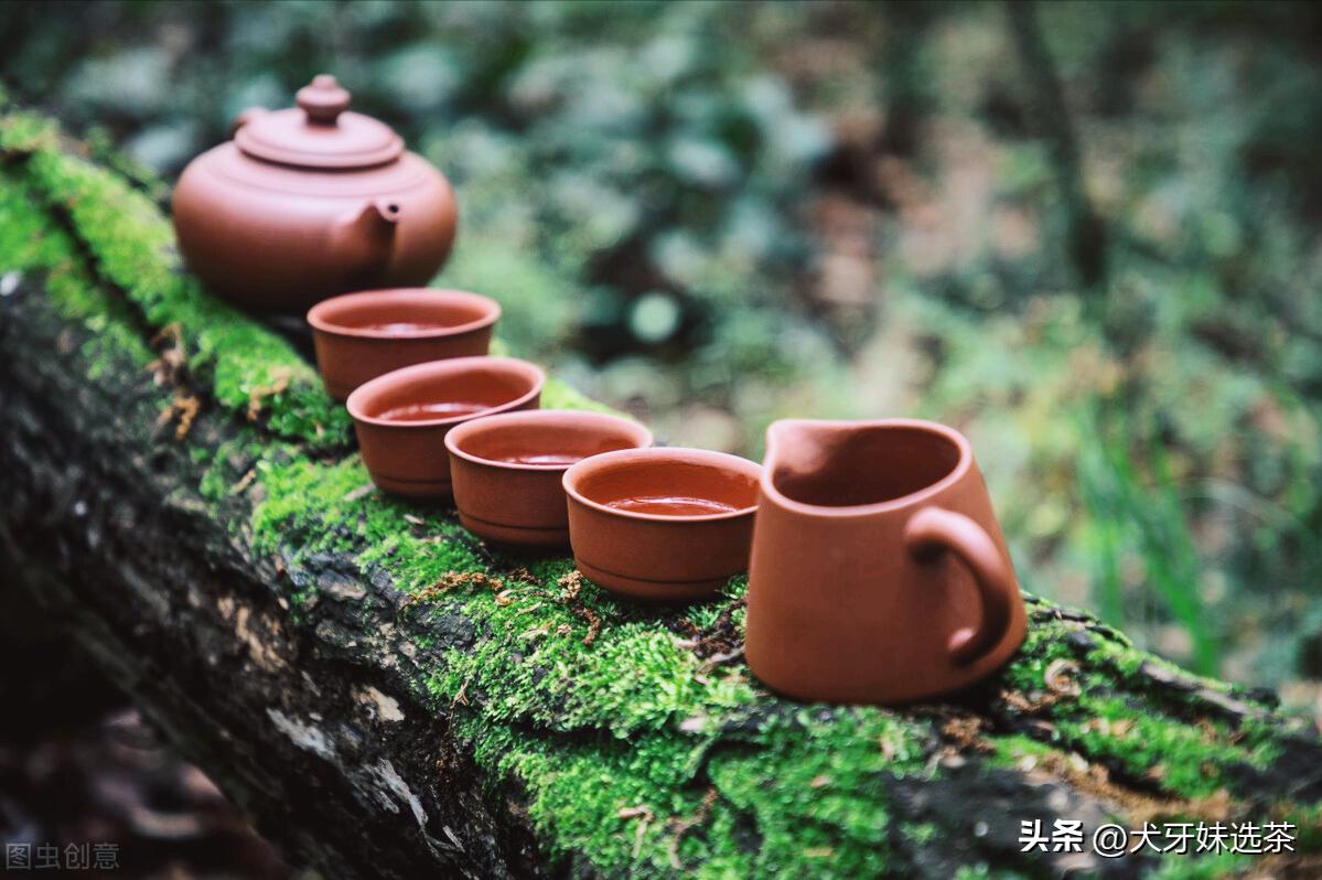 不夜侯、涤烦子，真的不是人！都是茶！茶与喝茶的雅称快收藏起来