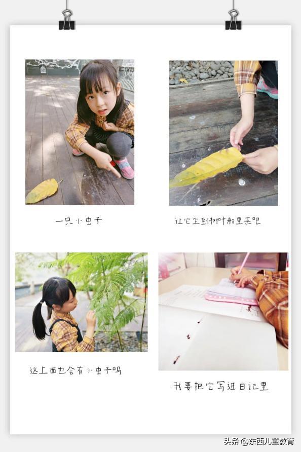 开学补奇葩作业,开学第一天奇葩作业