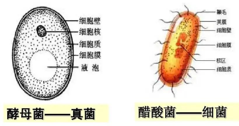 多灾多难，我们的未来还会好吗？