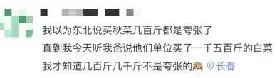 东北人冬天买白菜,盘点东北人买白菜