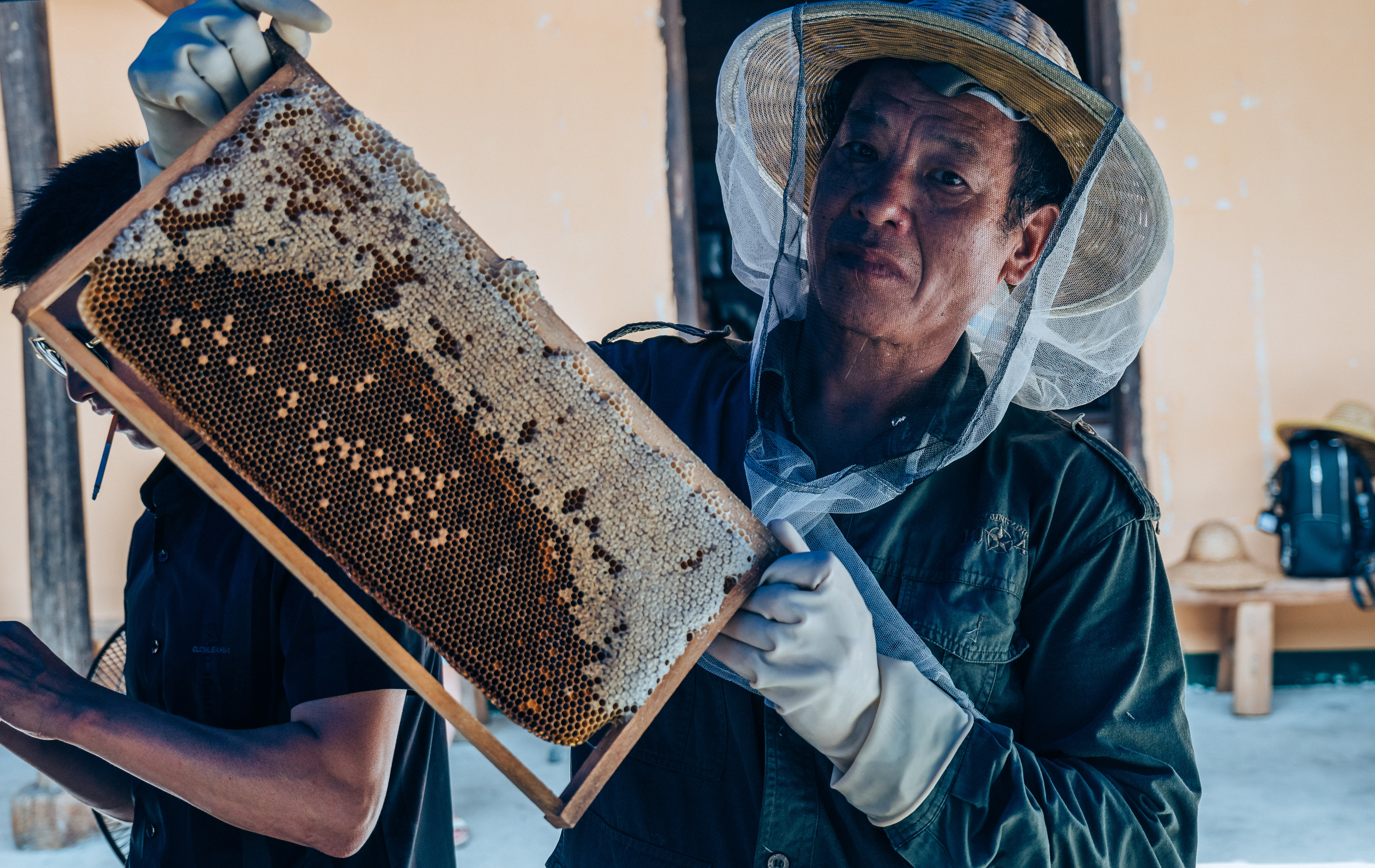 行游五府山：解密3宝，山野美味游走舌尖，传递平实的幸福