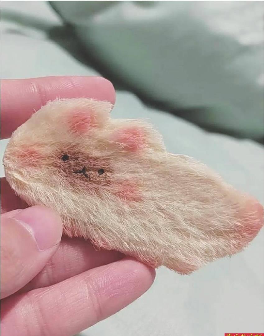 养芒果核不用吹风机行不行,养芒果核当宠物要晒多久