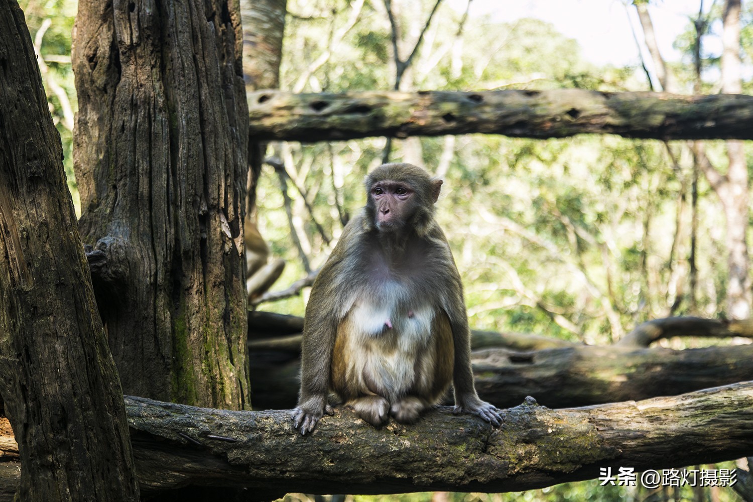 云南最适合养老城市普洱,中国的春城是哪个城市