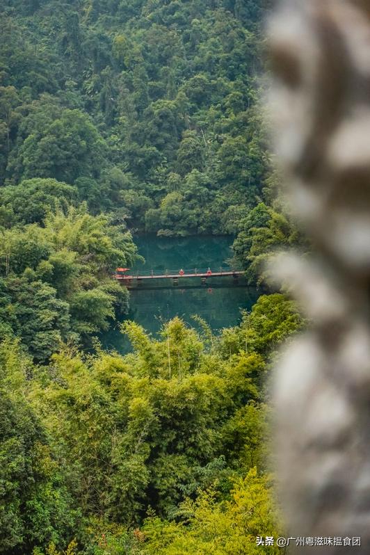 来绿林润肺放肆“森”呼吸，体验全新肇庆喜来登酒