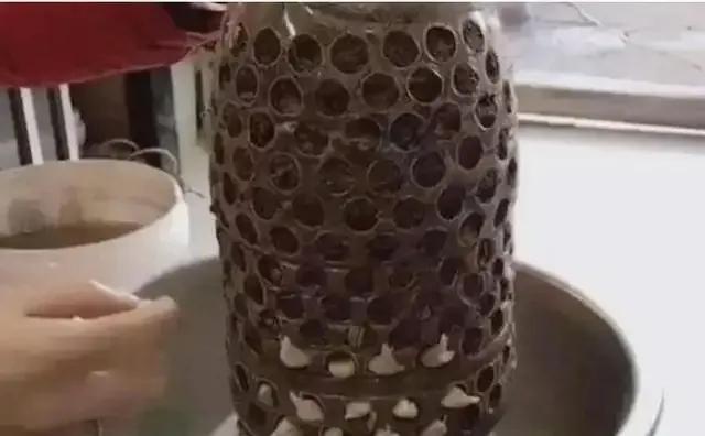 塑料瓶种花种菜的方法,塑料瓶种菜最佳种植方法