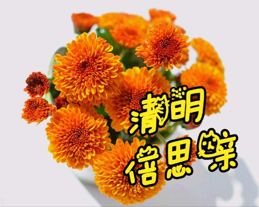 清明节雨纷纷举国上下寄哀思,清明节伤感词思念天堂的父母