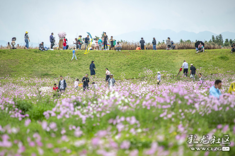 云南昆明生态旅游,昆明官渡区生态文化新城