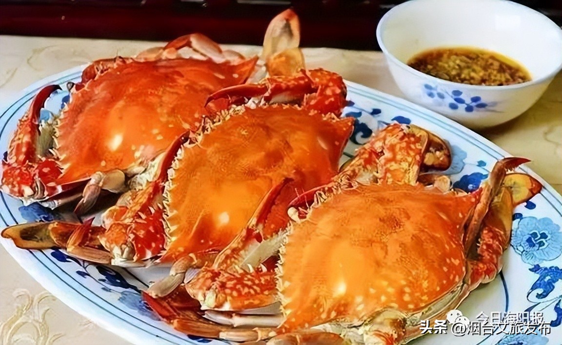 魅力海阳行,魅力新浦海阳