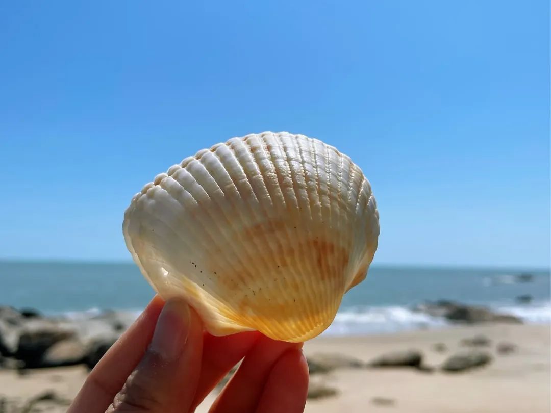 汕头潮州南澳岛旅游攻略,潮州汕头南澳岛自驾游攻略