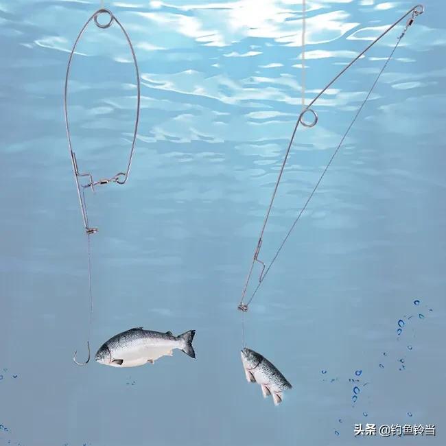 什么钓具最好用又实惠,什么钓具最好用