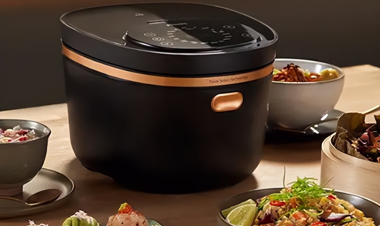 电饭煲贵的和便宜的有什么区别,100的电饭煲和500的电饭煲区别