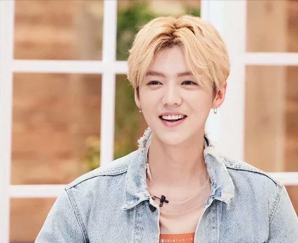 貌若潘安的潘安,娱乐圈四大绿林好汉鹿晗