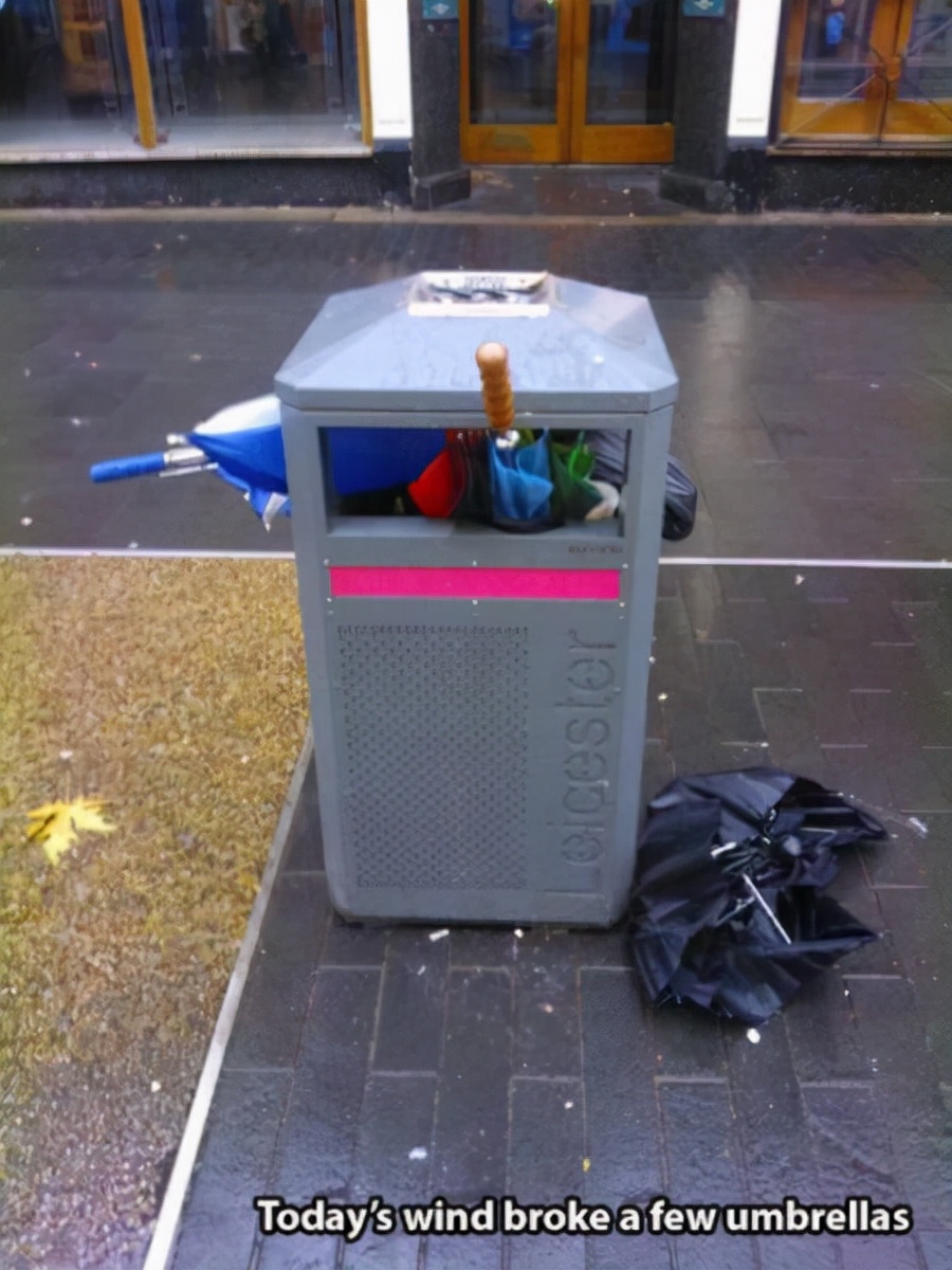 80张神奇偶然瞬间，环形闪电，海蛇和最毒石斑鱼互咬，骑骆驼拍照