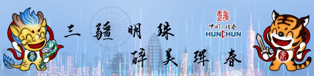 延边珲春机场,延吉机场候机楼图片