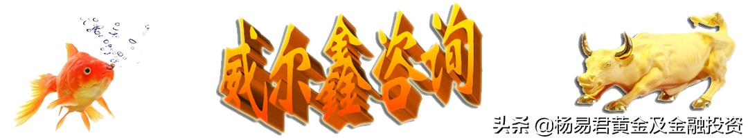 威尔鑫黄金,威尔鑫黄金杨易君分析师