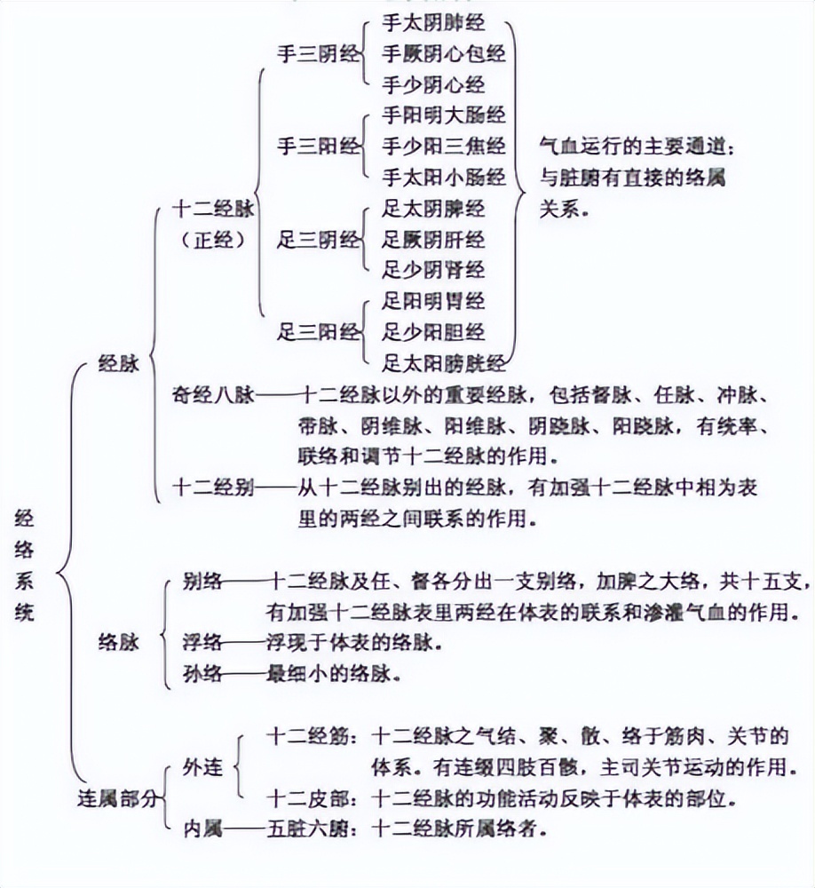 针灸经络速记手册,针灸入门系列合集