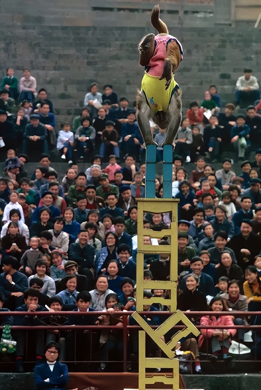 玛格南摄影师作品集,马格南著名摄影师