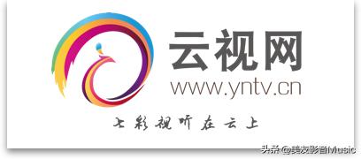 用头条看电视剧,在头条上免费看电视剧