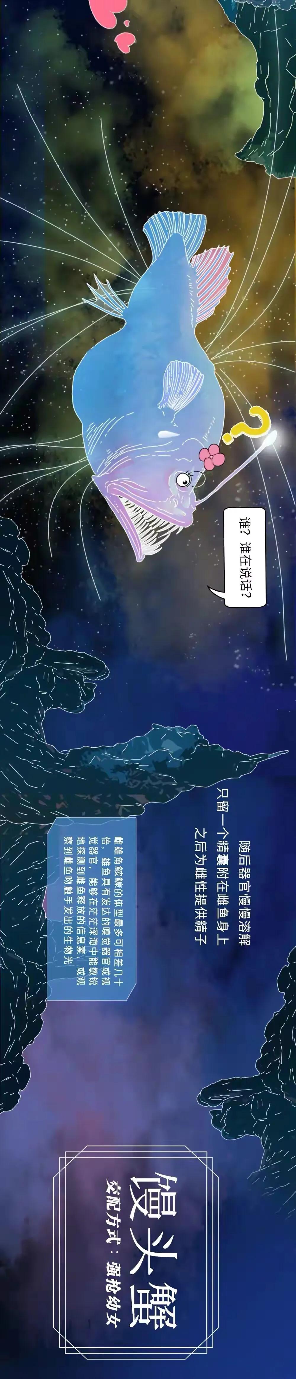 海陆空动物交配姿势对照表（严肃正经版）