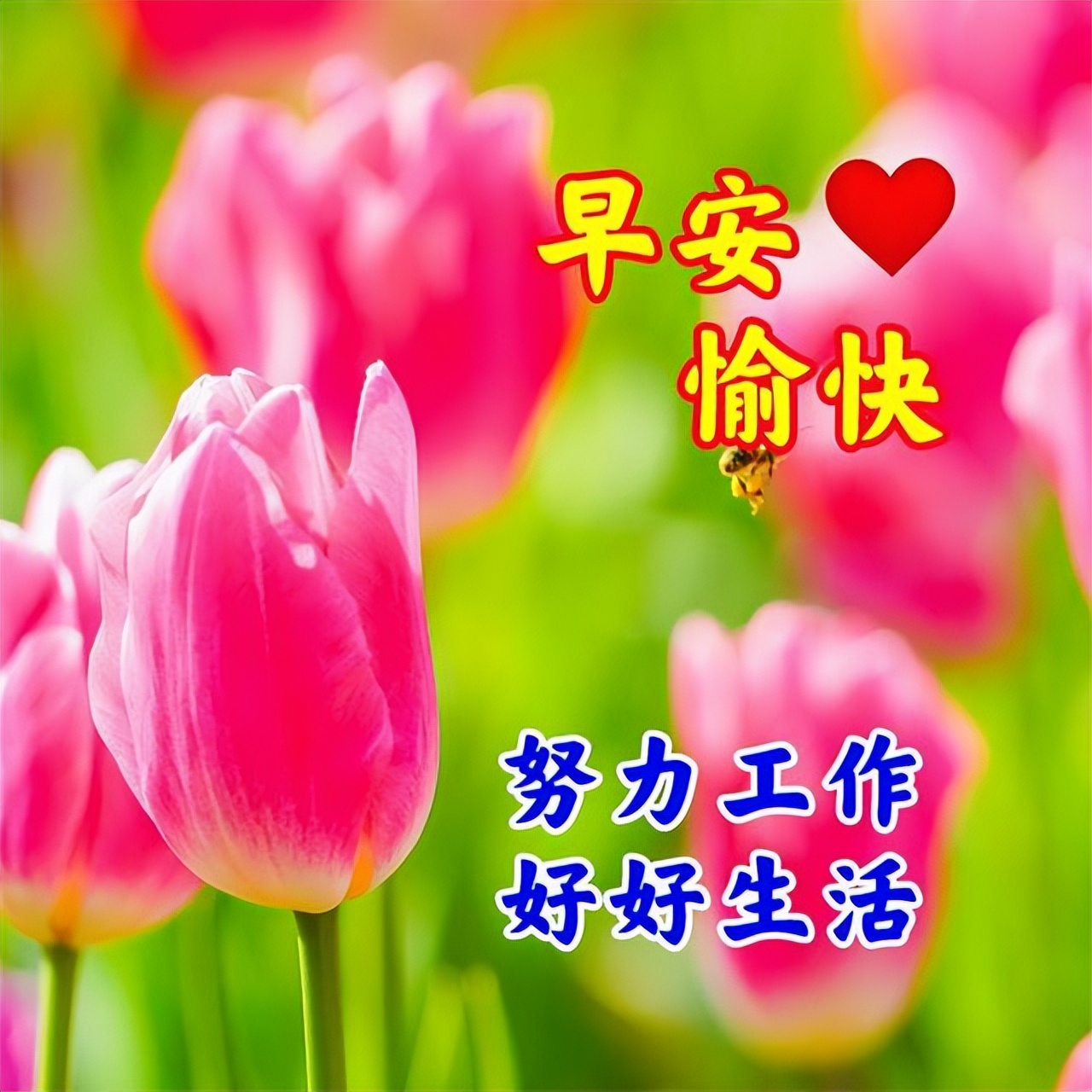 清晨太阳早安心语,早上好充满希望的一天