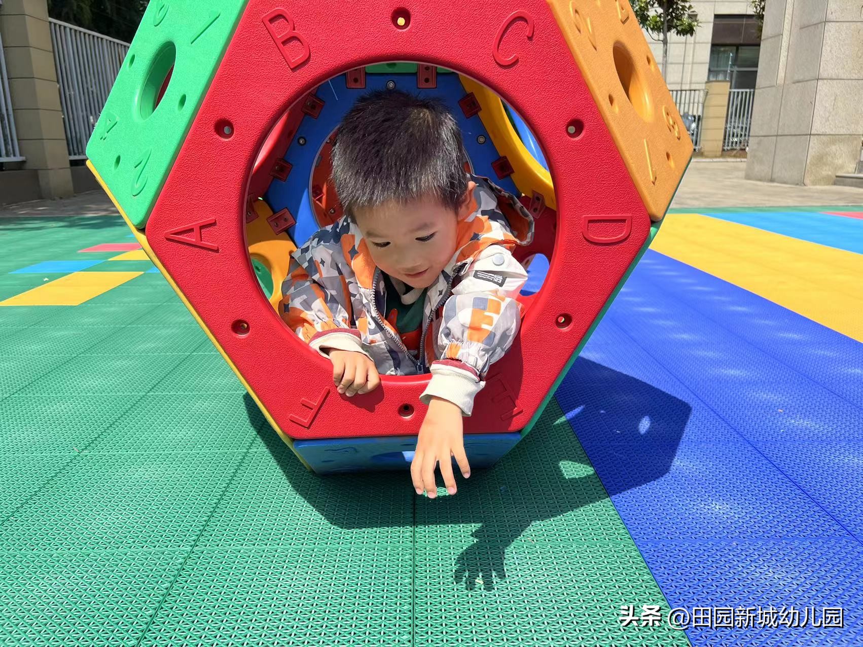 课程故事乌龟大班,嗨小鸭课程故事