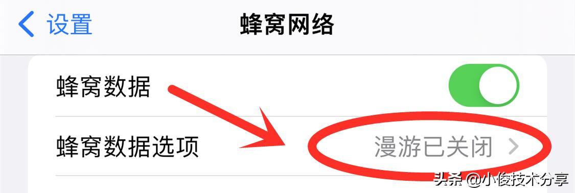 苹果手机网速慢最佳设置,如何解决苹果手机信号延迟