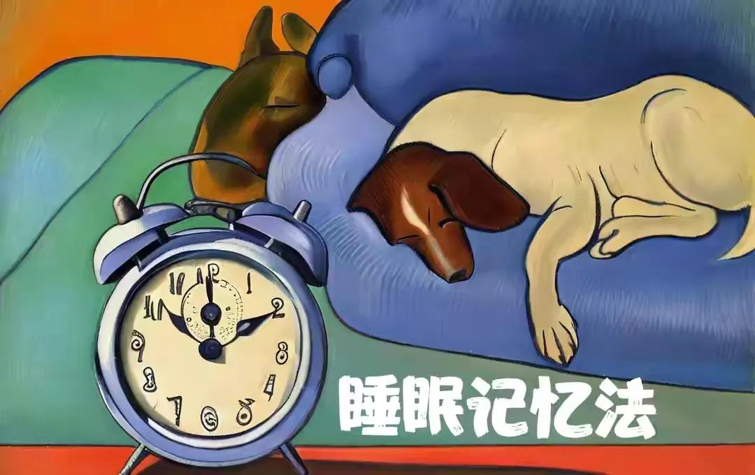 高一英语差怎么补救买什么资料,高二英语差还能来得及补救吗