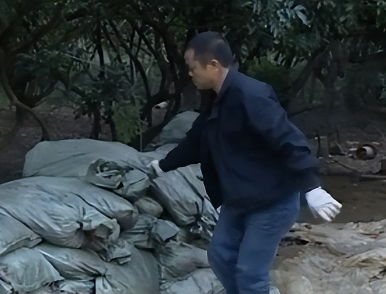 男子养鸡却不靠鸡赚钱反靠鸡粪,男子养鸡不靠鸡挣钱卖鸡粪