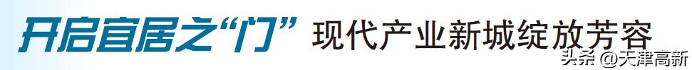 非凡十年|《天津日报》特别报道：天津经开区永立潮头谋新篇