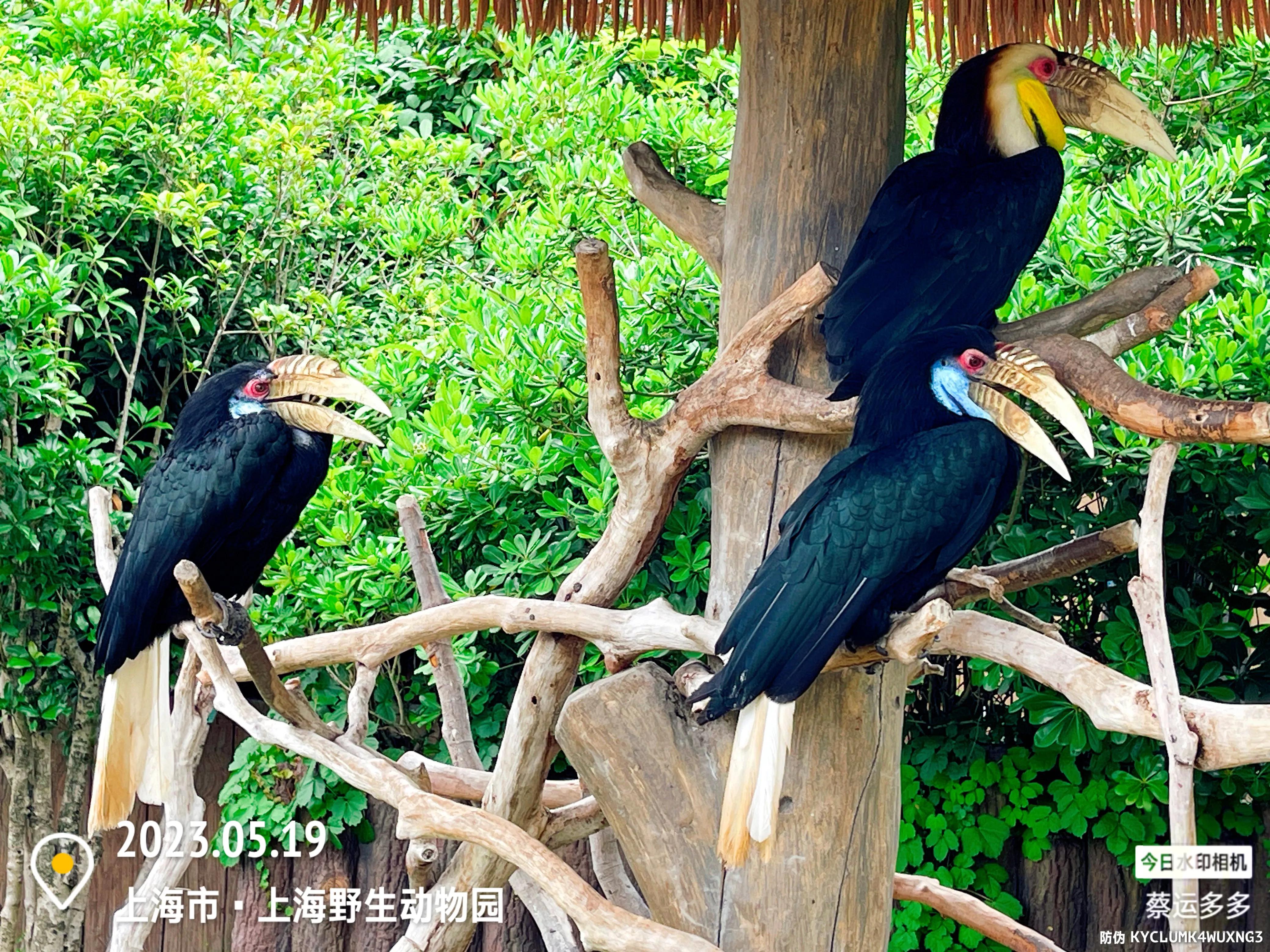 我喜爱的动物是小猫,什么动物招人喜爱