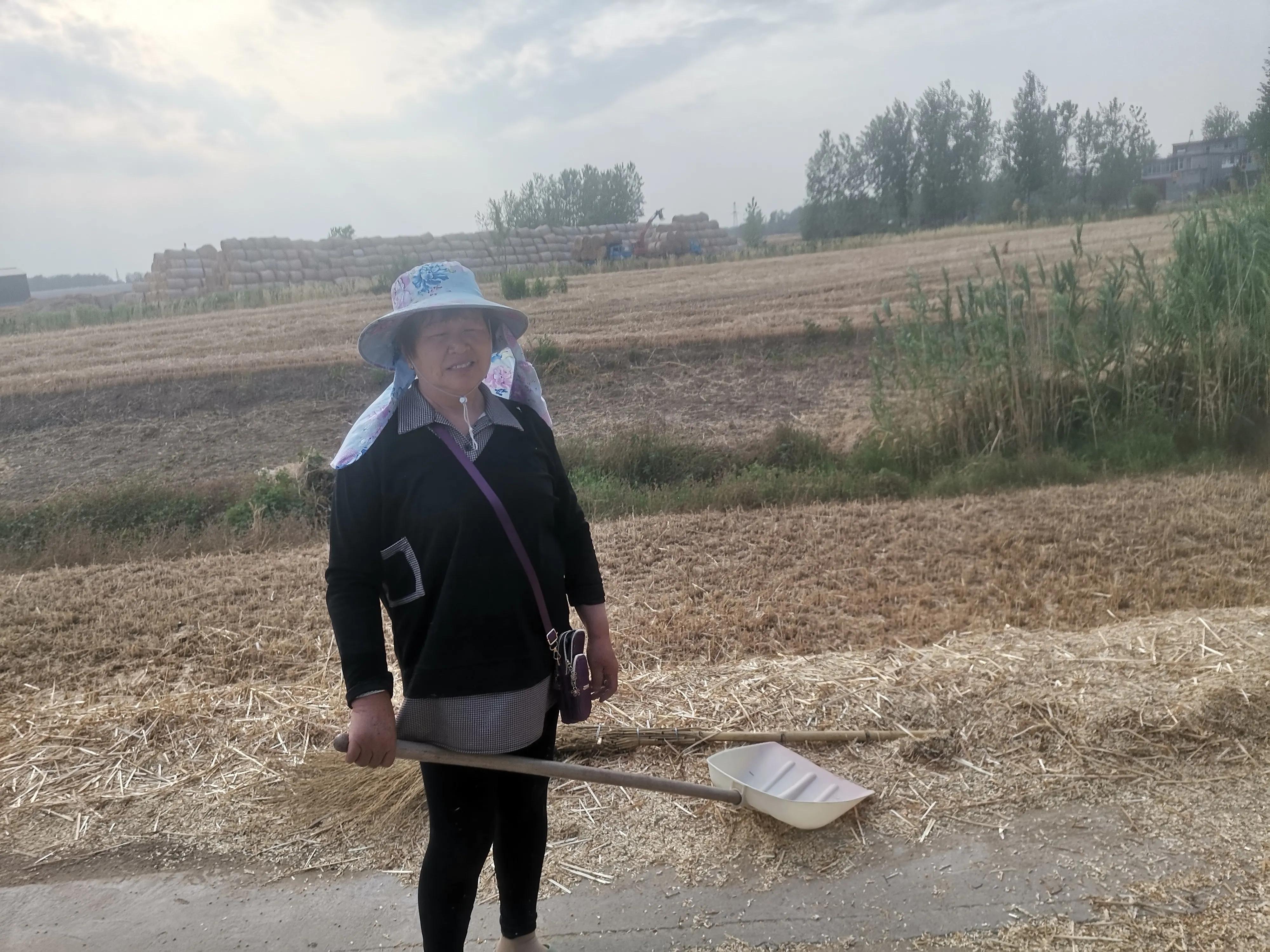 母亲的眼泪第三调解室,母亲的眼泪电视剧全集