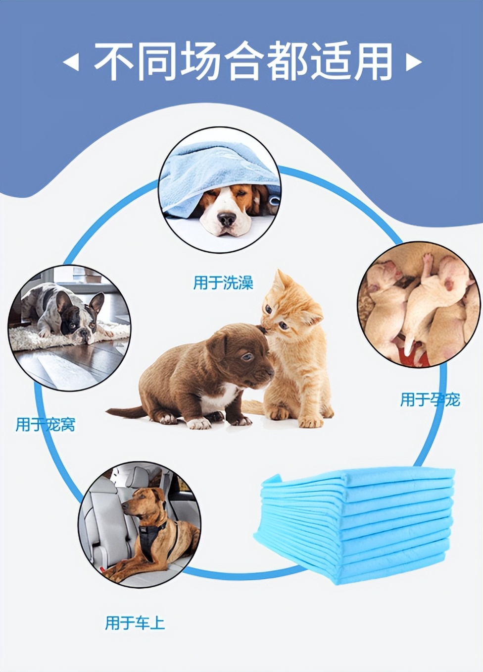 宠物尿垫推荐怎么选,宠物尿垫的正确使用方法
