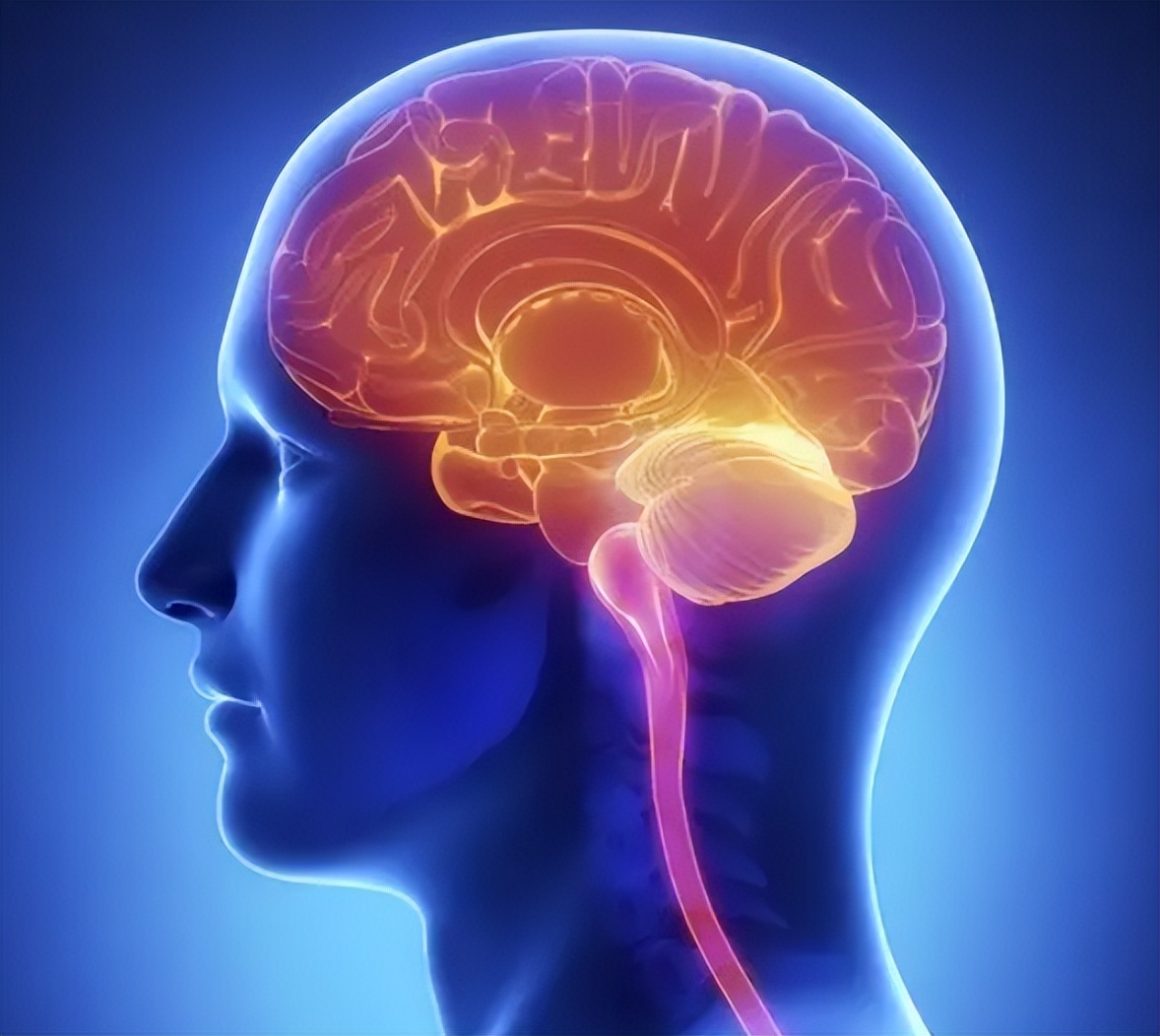 一天只吃一顿饭怎么提高代谢,每天一顿饭会降低代谢吗