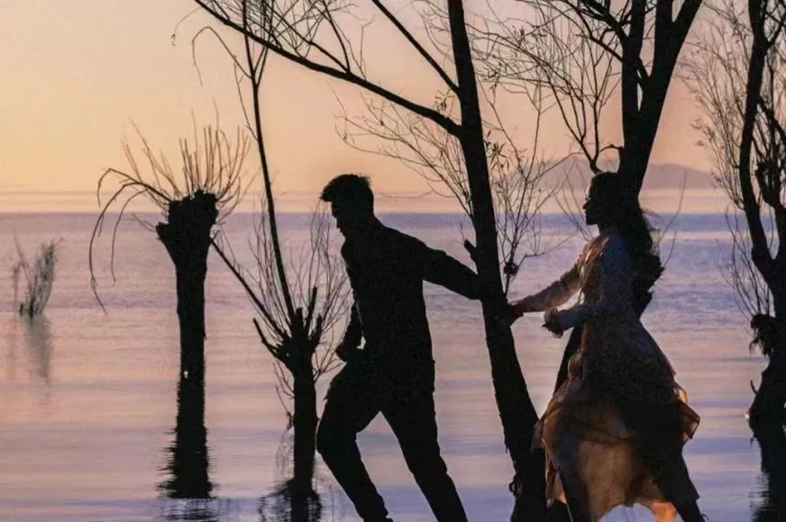 夏天专属的浪漫绣球花,绣球花是夏天的专属浪漫