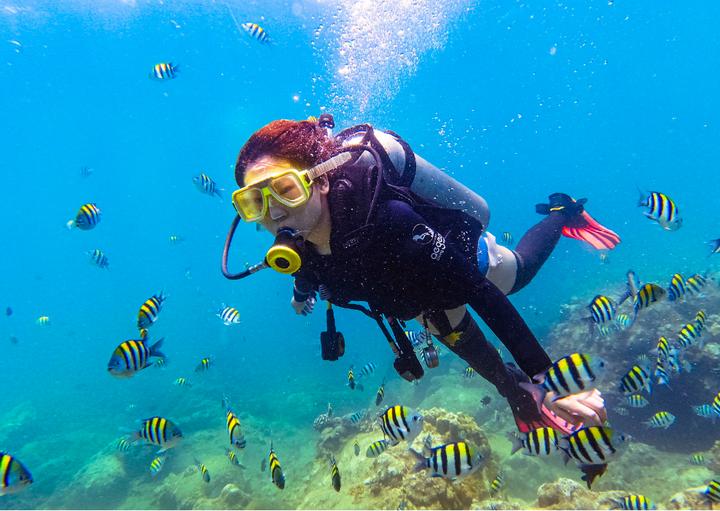 让孩子了解100多种动物的科普知识,为小朋友讲解动物知识