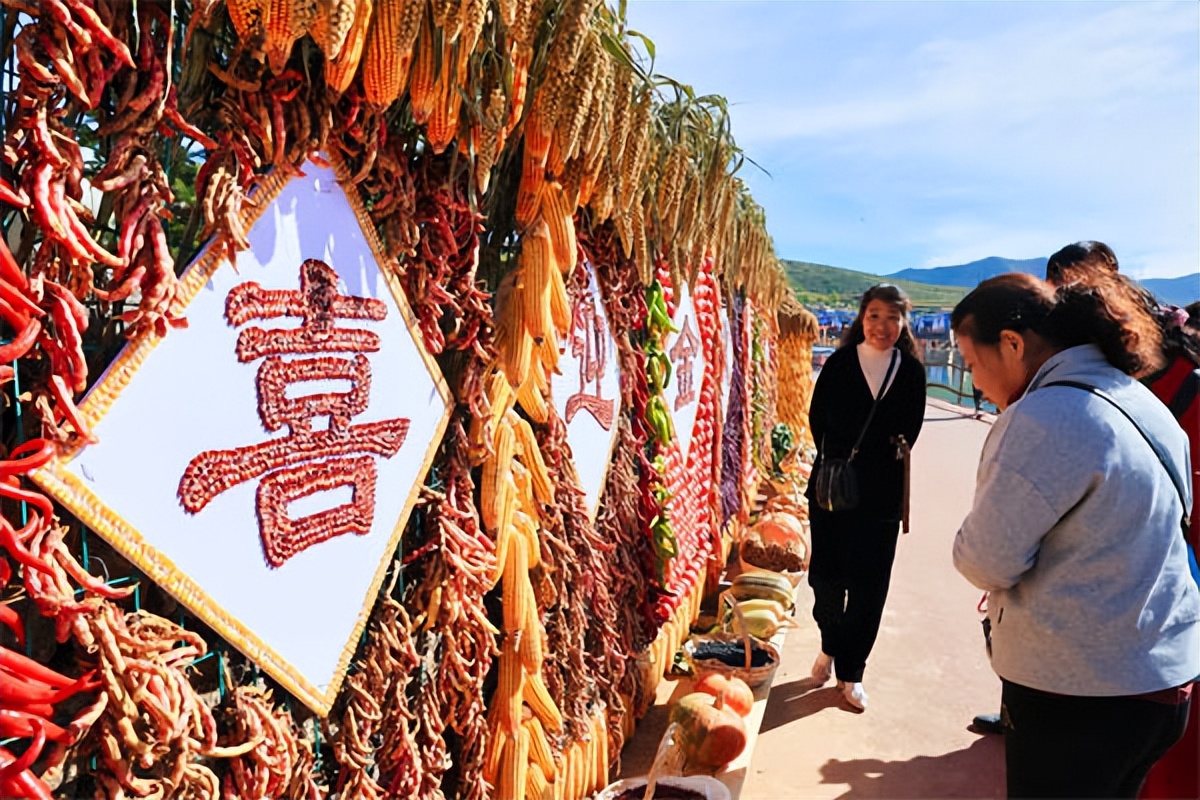 全国脱贫攻坚先进个人陈新胜,2019年脱贫攻坚先进村典型事迹