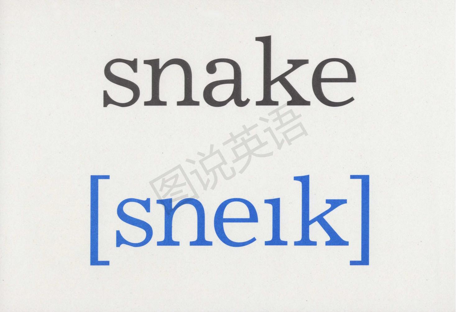 英语国际音标教程实用卡片图,音标卡单词卡