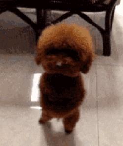 男性尿完尿为什么会抖一下,为什么尿完尿会抖一下