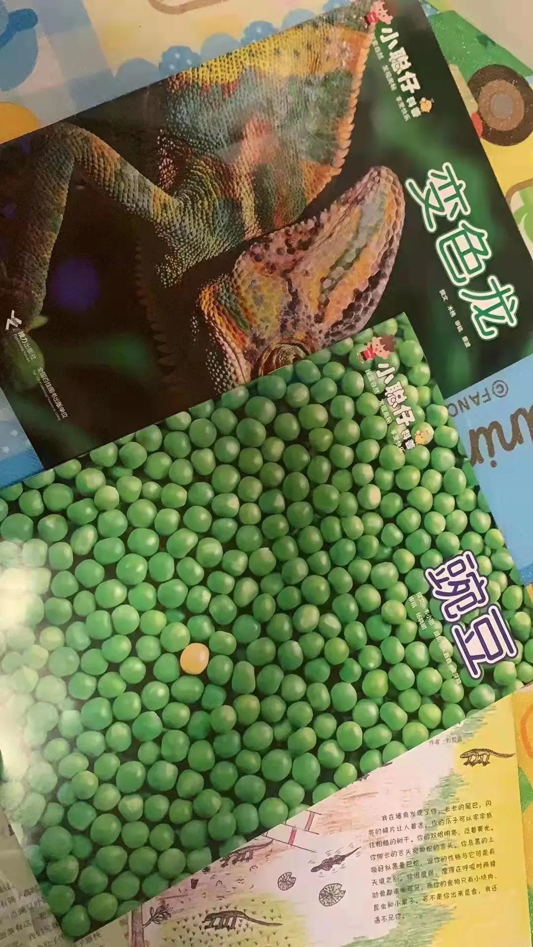 小聪仔科普版过刊值得买吗,小聪仔科普版值得买吗