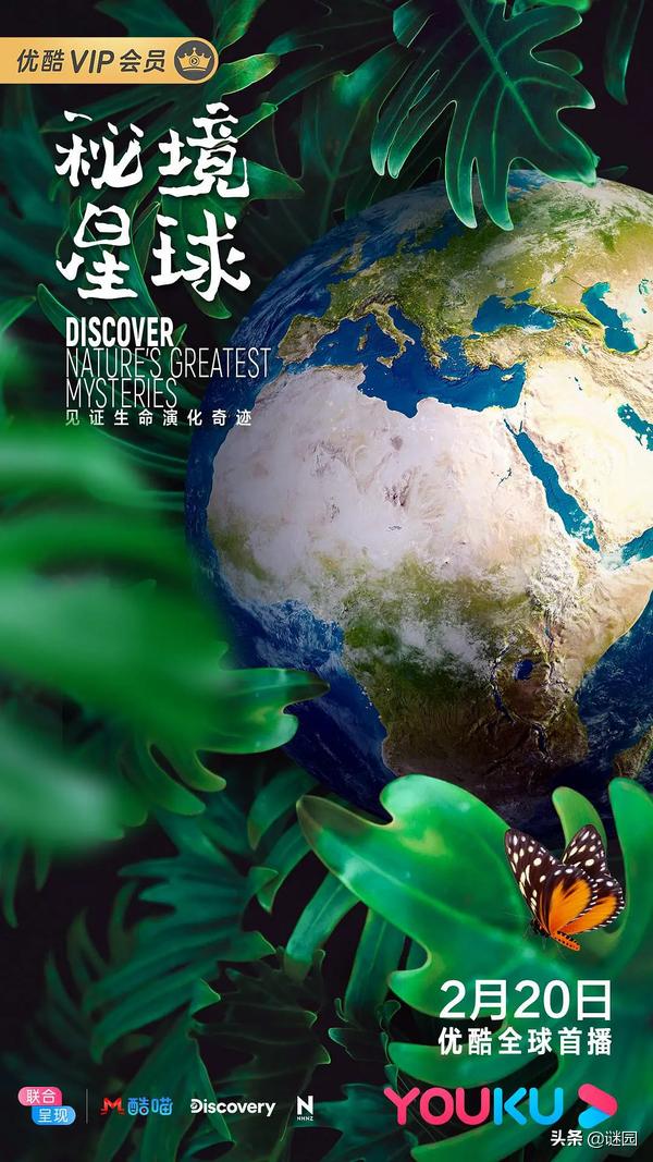 亲子互动纪录片大全,适合儿童看的自然界纪录片