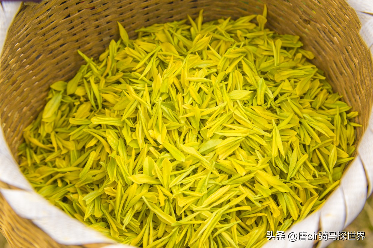 中国最珍贵竹乡,中国茶竹之乡在哪里