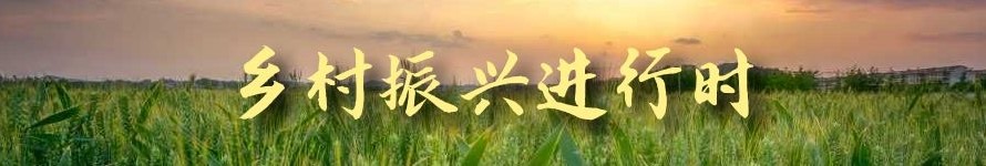 乡村振兴翻开乡村生活新篇章,乡村振兴如火如荼