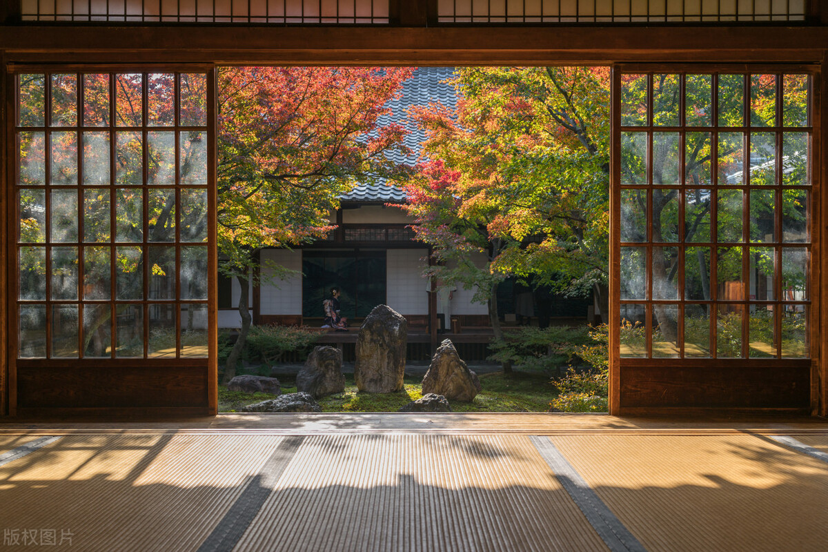 入境日本最新核酸政策,入境日本最新防疫规定是什么