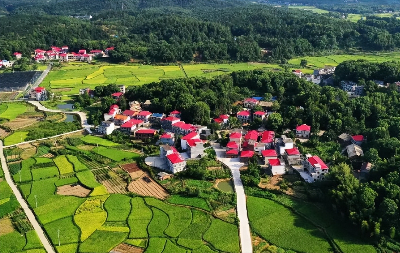 伪气功大师王林现象视频深度剖析,气功大师王林别墅内景航拍