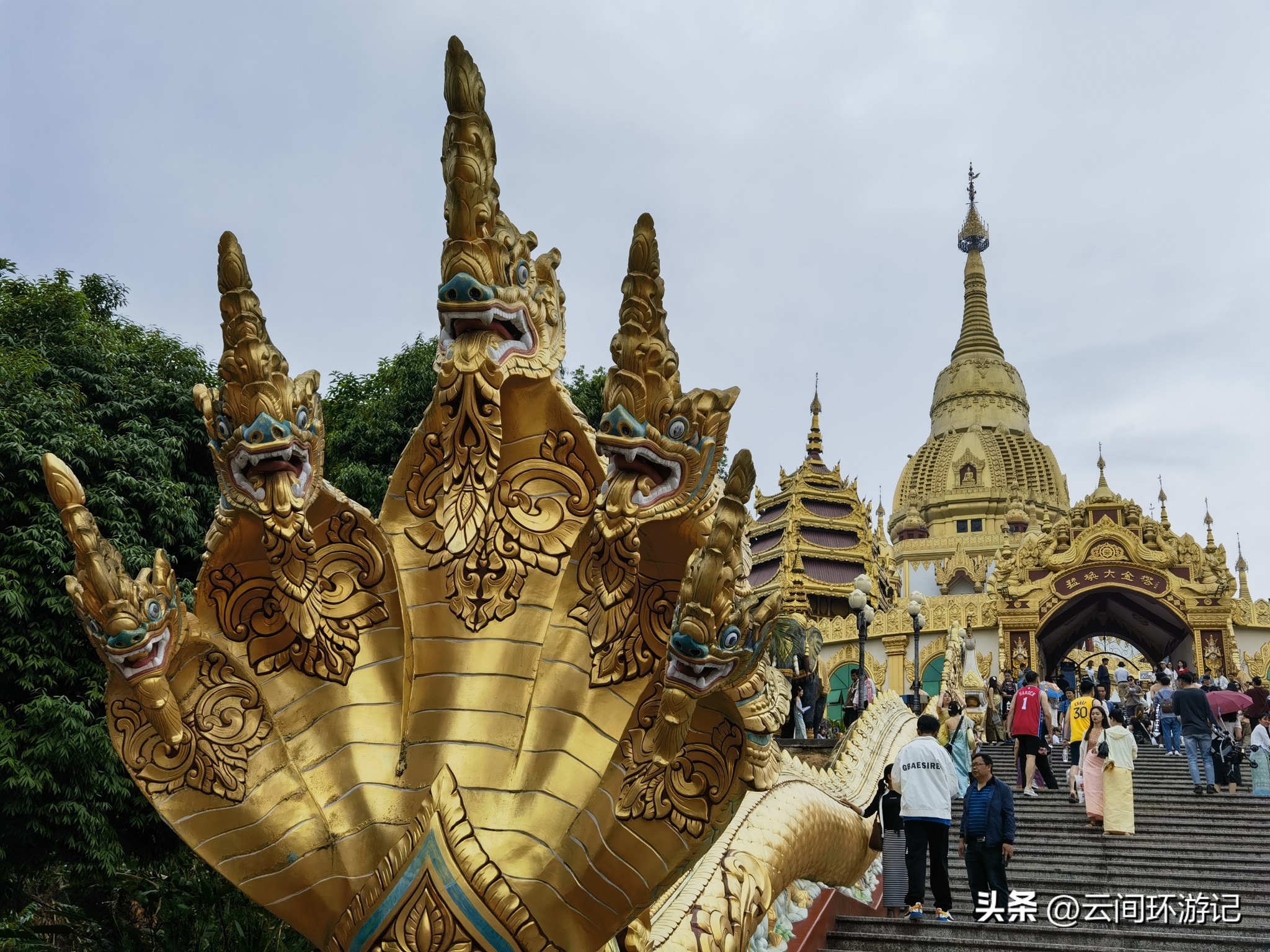 缇庝附寰峰畯娴极涔嬫梾,婕父寰峰畯