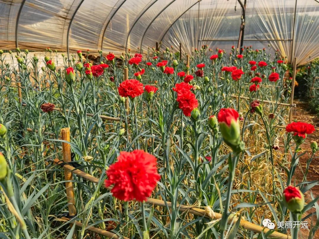 3年6000亿美元,3年赚60万什么水平