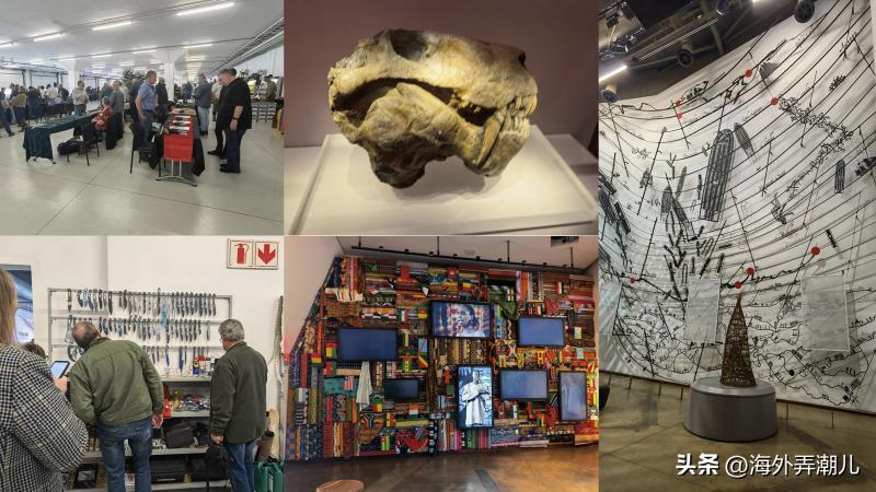 非洲历史上唯一的发达国家，深受曼德拉影响的多种族国家—南非