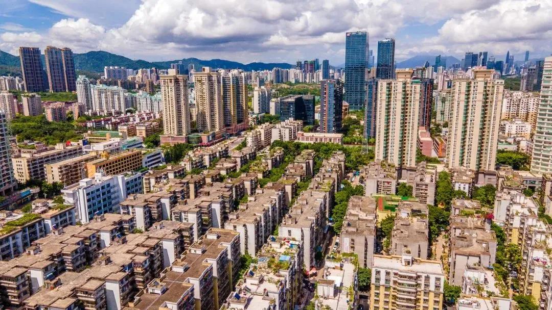 农村创业养殖一年赚152万,冷门养殖50亩收入800万