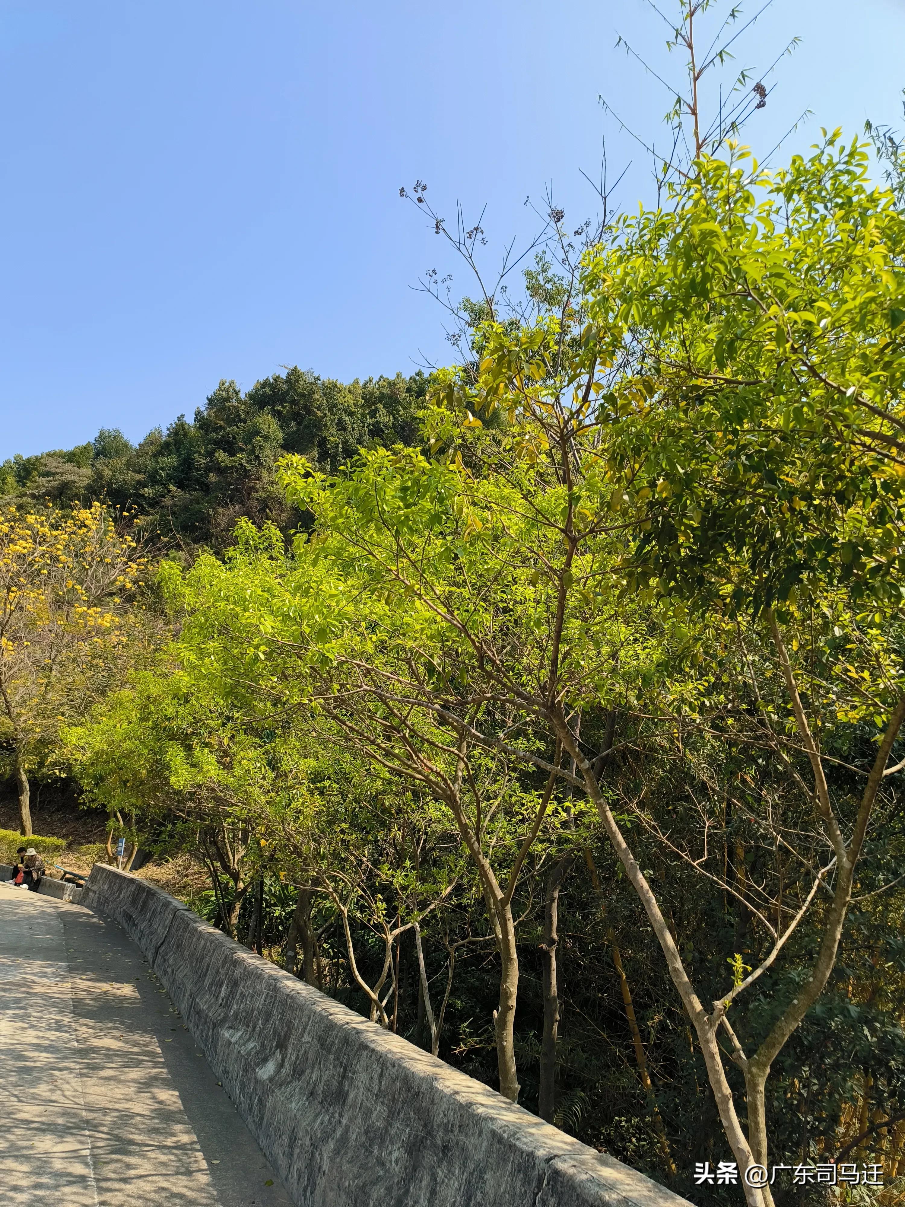 好玩的中山公园,中山公园这儿真美