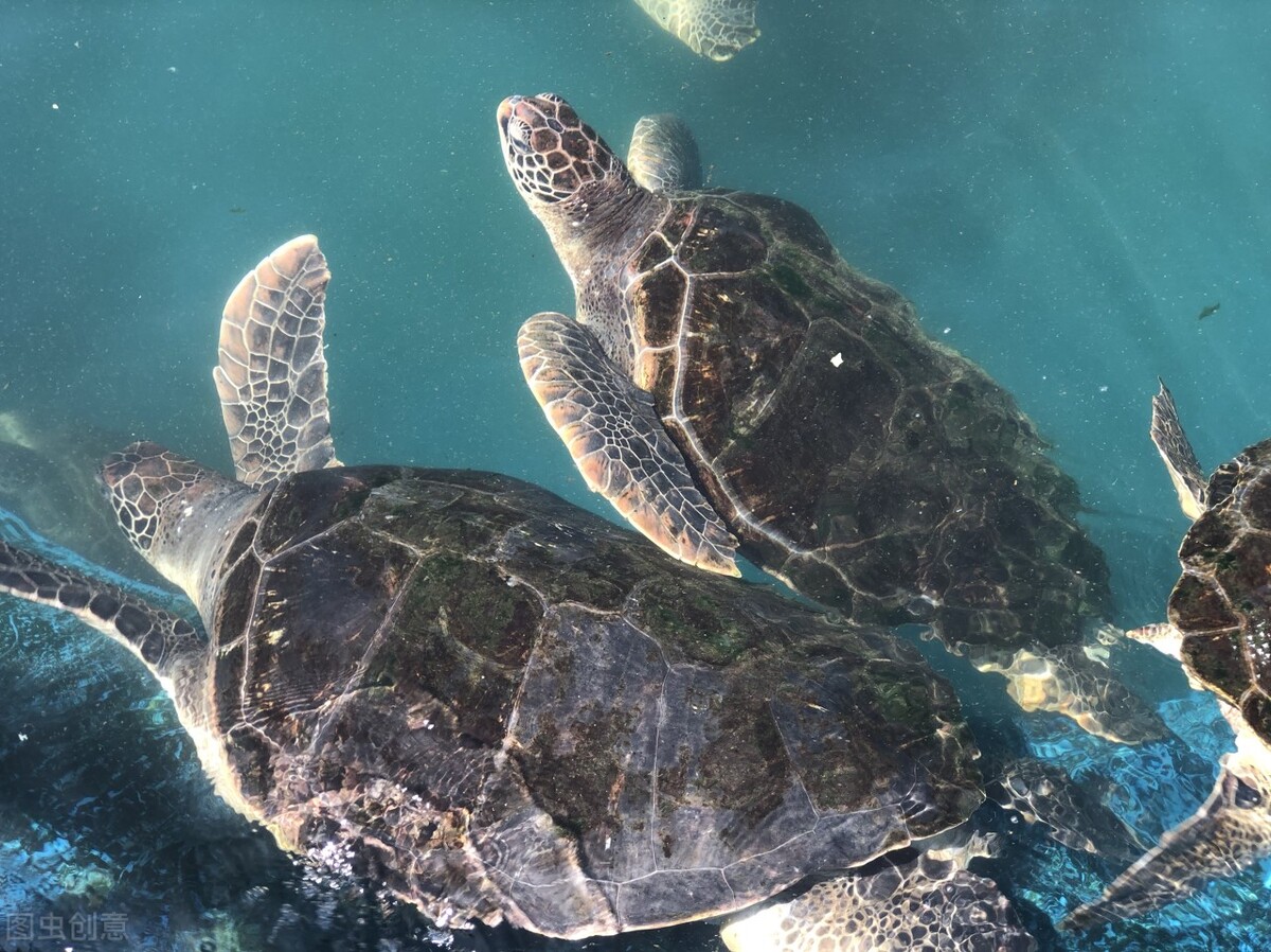 惠州哪些地方看海最好最美,惠州海边景点推荐攻略